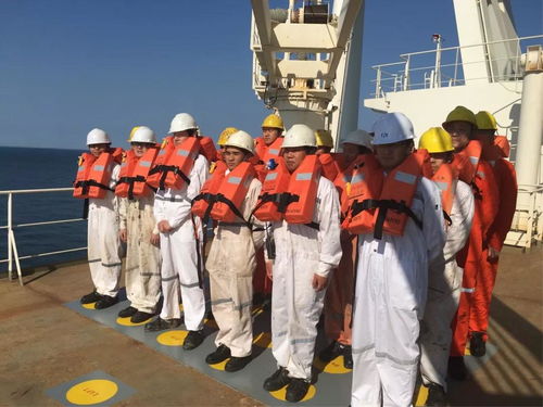 陽(yáng)海國(guó)際船舶公司誠(chéng)聘招生代理，共拓國(guó)際船舶管理業(yè)務(wù)新篇章